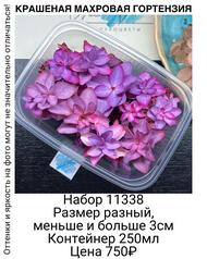 0311e113b8824a6db79bc85156d9d1ad