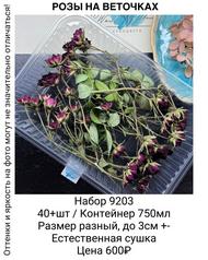 1b7c8dfa3f1a43e3b553184be85940ac