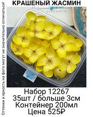 1ce9fed02c684d1cad7ea364df8590db