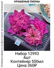 23a74c223b734ab1b724ac32d597a5d2
