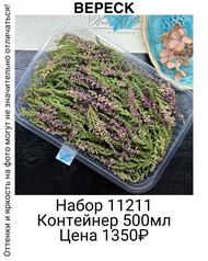 2d9237e1d57149ddb8528fa5572cdba6