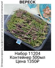 31b402e033c34b98ac8567cf06935a7b