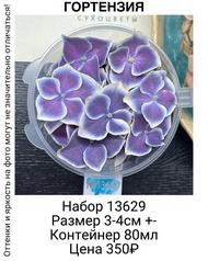 336ed9d7dfab47c296e03a83b6e117c6