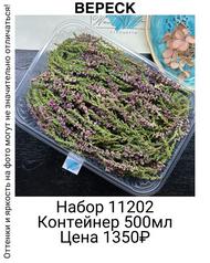 3492a1c7d1594b9982562e6f3baaba4f