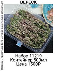 376f2f96491e4da8a50e21f4b2141225