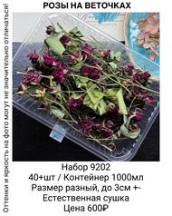 4888e43e83634c9b888c67c0715bfb2a