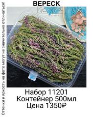 4a4c45a43dd94eff8c3a024bf9400293