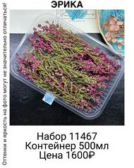 512cfe47b7f543eb9505ef4abd22d426