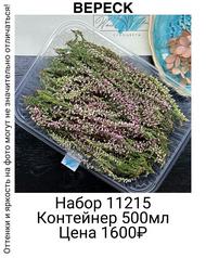 5197b352e2814cbe95939d53b7c93ce4