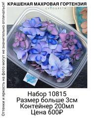 5420aa6574204e9181a5c0b8f75e82df