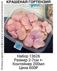 5bdee02ddd2544cca662bb9bf0d38796
