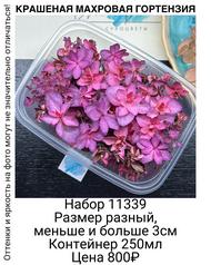 702ab589723f4b539702c725d0e62878