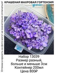 779b351072404233b271a2333ff4f900