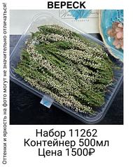 804e28f392ba437ca410cde5e66c54cc