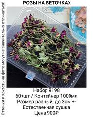 8cf5077a60b946908ec988a3c3b4cbf1