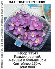 8d2dab169c1c4437b0225a8fe610ad6e