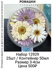 8f3dcd7b24a24c3eb39656d1d9bfef2f
