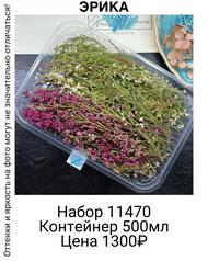 9e3e5b8e01d045d0a4dff160039d4295