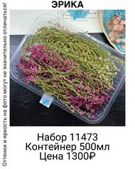 a58e139a93954b33b4b7d67bc995d8b5