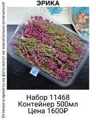 a787289c124c4e4083847b7995476a37