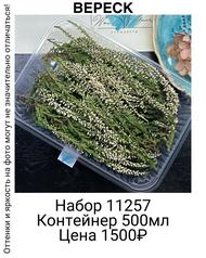 b093d16f73ae4df7be123984578e5a81