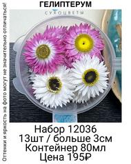 b203c33a77b84c7f8bd0c244656247b0