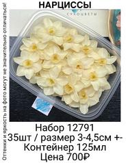 b3311b05ea164741ad25933520735718