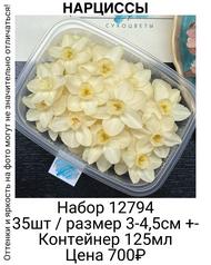 b7dabbc71be7455fb9398785a582e929