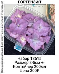 d15f7a06c5cd47c2a4d9892bd4361fcf