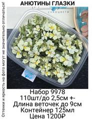 d7f21c61b8f143a58a6ca5029a08383d