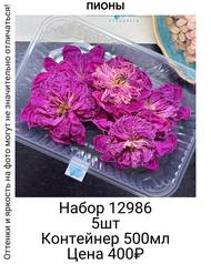 db8c118d0c4b462aaa77ac8f789a5cc6