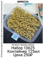 e3636a953175479d97fa48d9ada40e2c