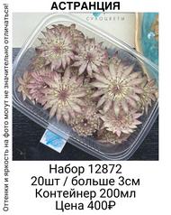 e4c05c5e253041eb955450b6067ccd4c