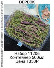 e8323c69f7784a0e9cc23a1f3c36c370