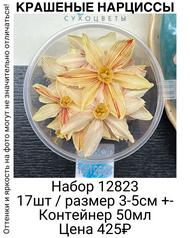 e88f001251284ca6a1a9734f82536725