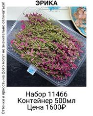 efc5e4925019460fb4dfd13c7e20d48c