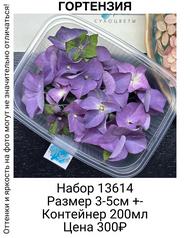 feb792a4449048c3b30160407261d87b