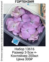 ffcfc7a18f8445508eb1b3b1d95d6335