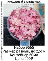 00b909cda7024de1be20f4a3790505f8