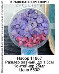 047ff7323f194a47bc055e08e7cbdbc4