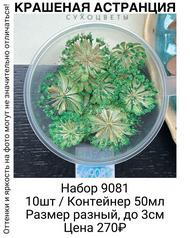 072cdebc620042cf9e7b3c83b2c77907