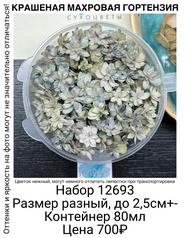 09f9506021b44e129452826440a0a1df