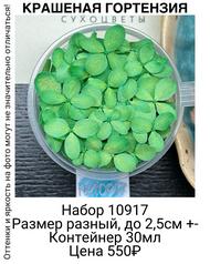 09ffa0c4ea064eb9aeddc6122ab7155e