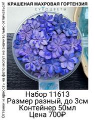 0d2180cc810c45eaaa7230c46faeb8d5