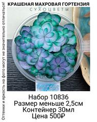 105f738ee6de4c7a9685e1666f1524ba