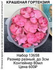 11b5333642c843919f22901703a83721