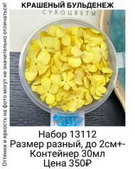 11f5526e48474e5baf34cb54493b7900