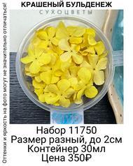 124f86c640904ca2b44cd0226e241623