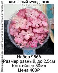 14531117f26e4553a3fdd36400e3b26c