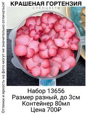 198b68c7a92b42ff95d28807da866d25